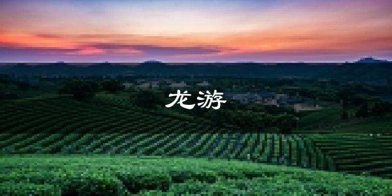 龙游天气预报未来一周