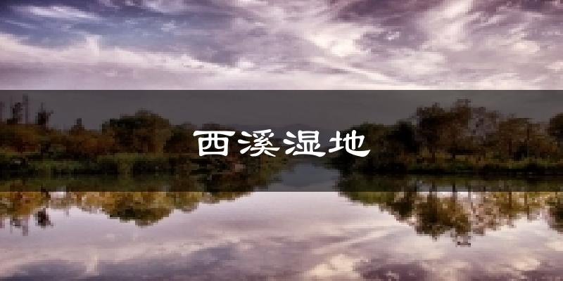 西溪湿地今日天气