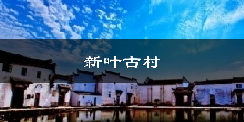 新叶古村今日天气