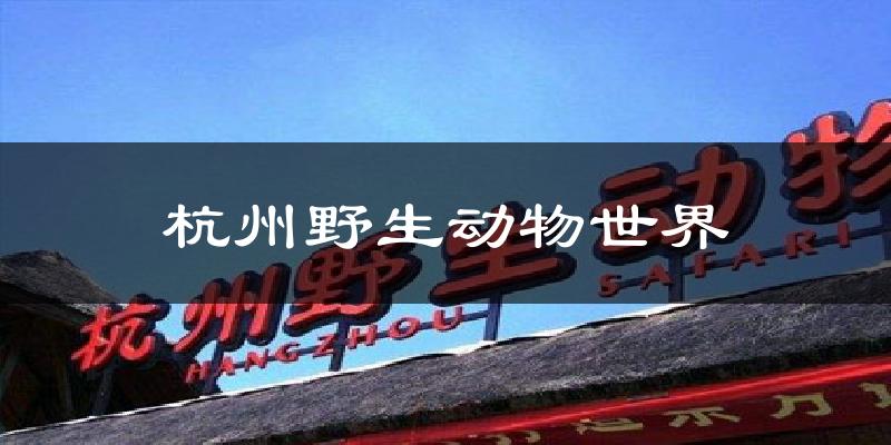 杭州野生动物世界今日天气