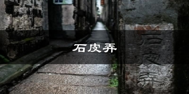 石皮弄今日天气