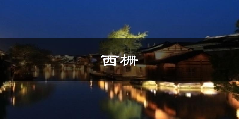 西栅今日天气