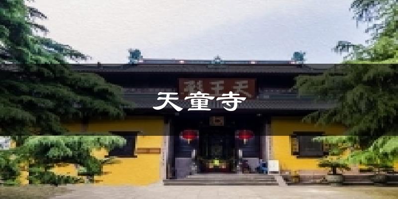 天童寺今日天气