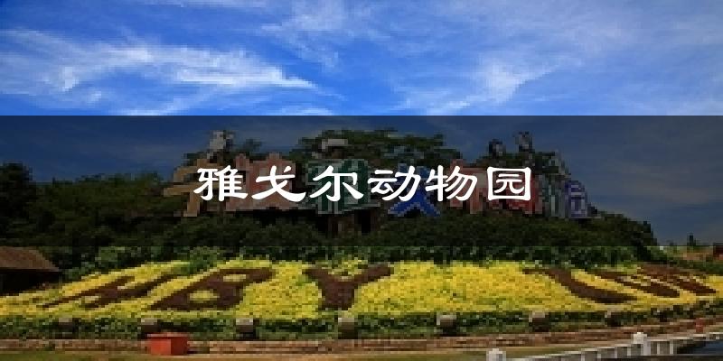 雅戈尔动物园今日天气
