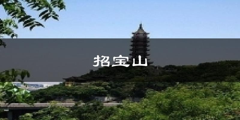 招宝山今日天气