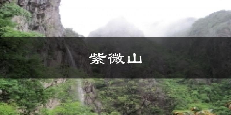 紫微山今日天气