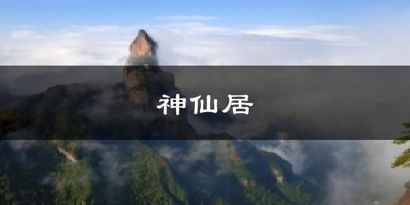 神仙居气温