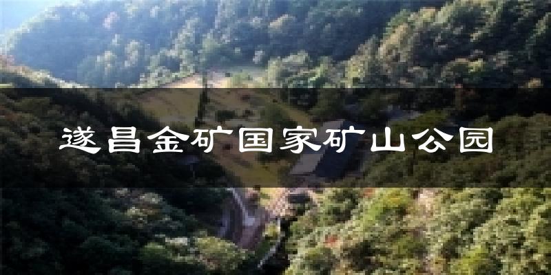 遂昌金矿国家矿山公园今日天气
