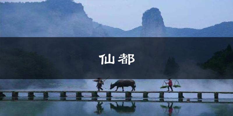 仙都今日天气