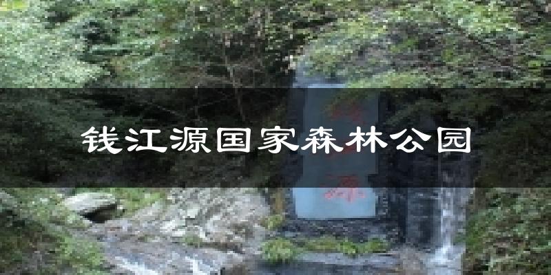 钱江源国家森林公园今日天气