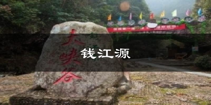 钱江源今日天气
