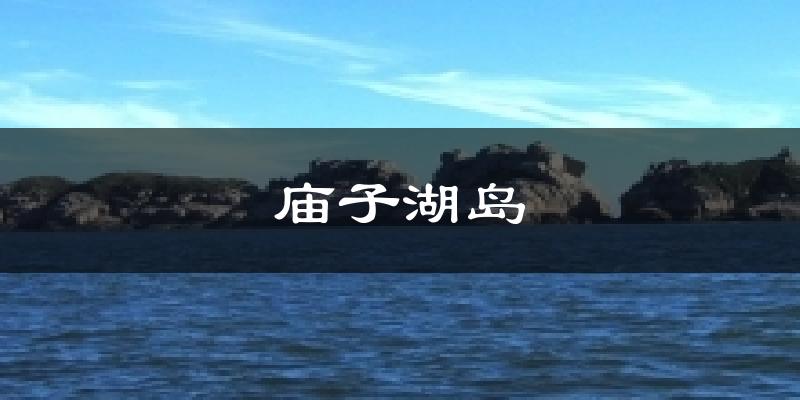 庙子湖岛今日天气