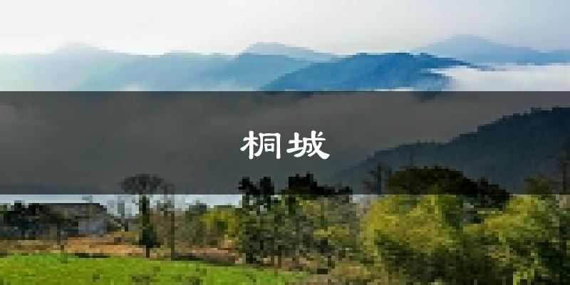 桐城天气预报未来一周