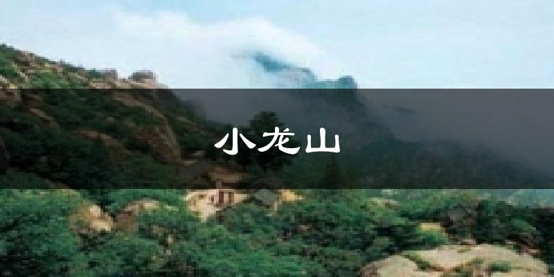 小龙山今日天气
