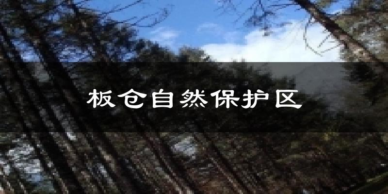 板仓自然保护区气温