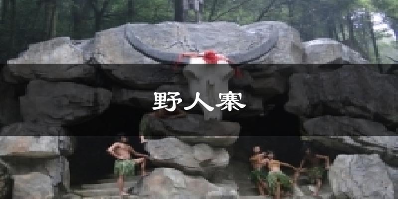 野人寨气温