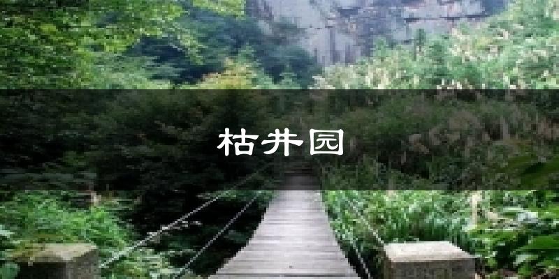 枯井园气温