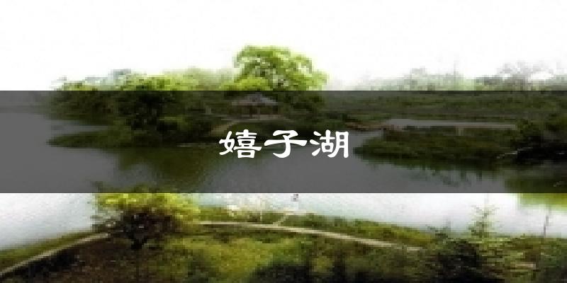 嬉子湖今日天气