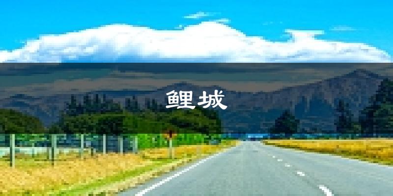 泉州鲤城天气预报未来一周
