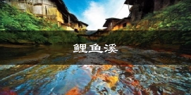 鲤鱼溪天气未来15天