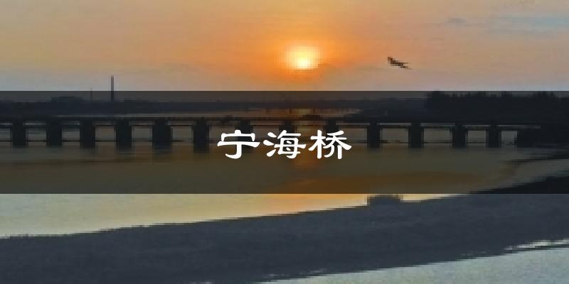 宁海桥今日天气