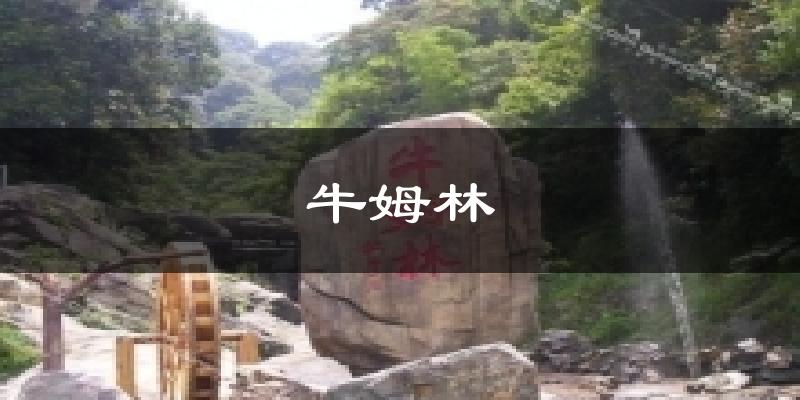 牛姆林今日天气