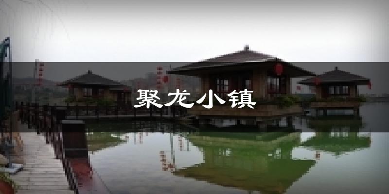 聚龙小镇今日天气