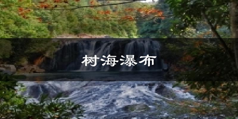 树海瀑布今日天气