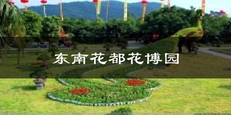 东南花都花博园气温