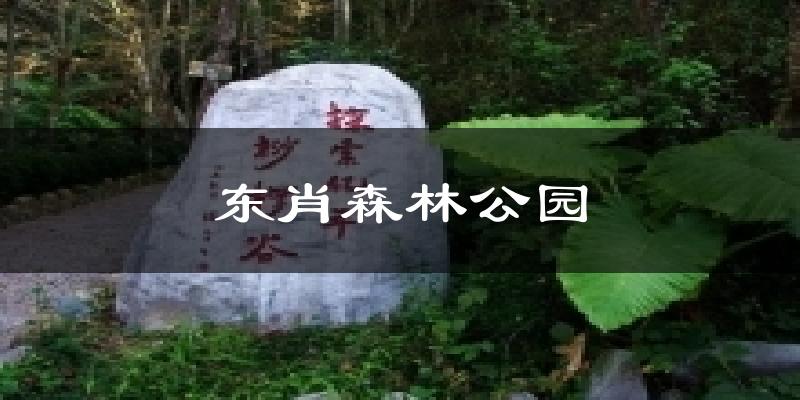 东肖森林公园今日天气