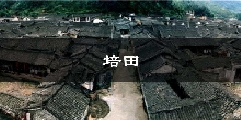 培田今日天气