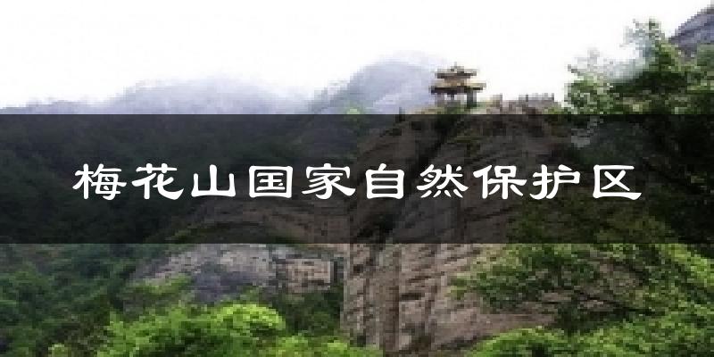 梅花山国家自然保护区今日天气