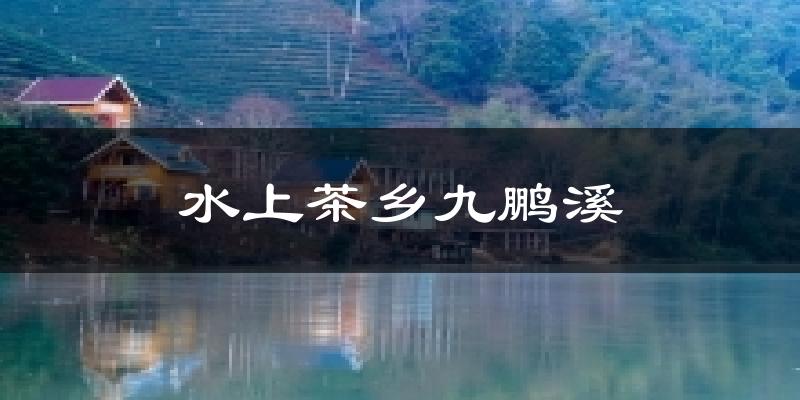 水上茶乡九鹏溪今日天气