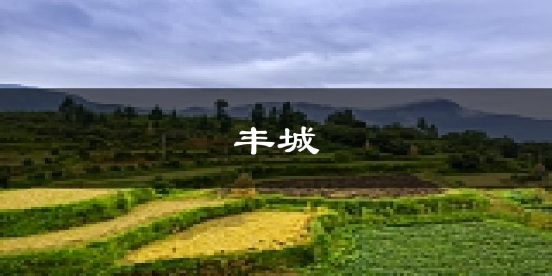 丰城天气预报未来一周