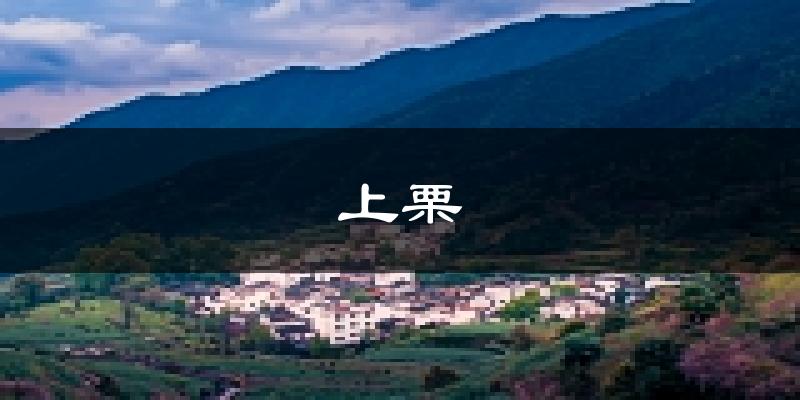 上栗天气预报未来一周