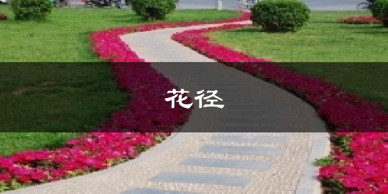 花径气温