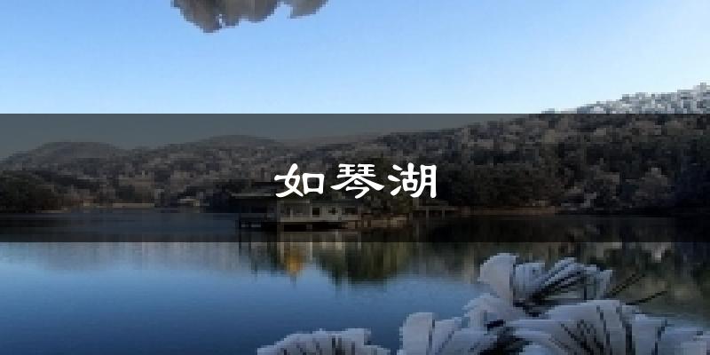 如琴湖气温