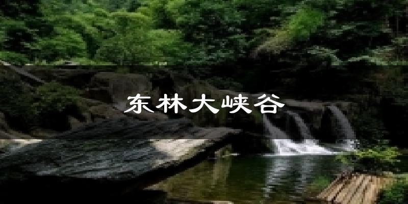 东林大峡谷气温