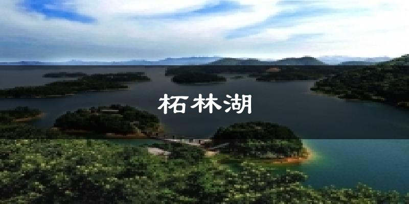 柘林湖今日天气
