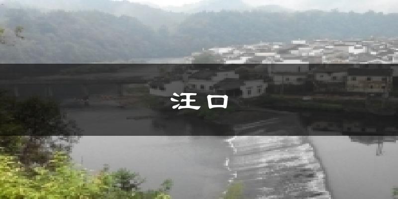 汪口今日天气