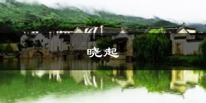 晓起今日天气
