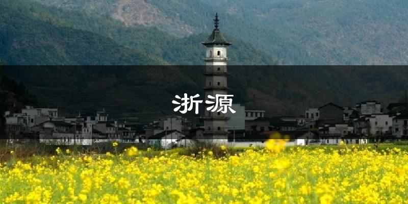 浙源今日天气