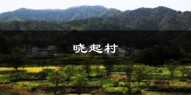 晓起村今日天气