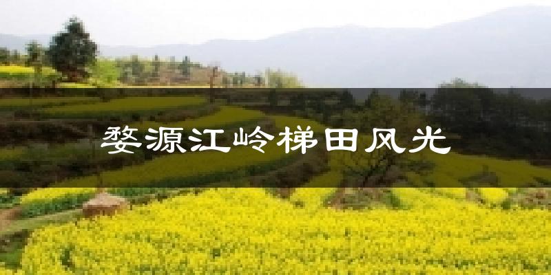 婺源江岭梯田风光气温