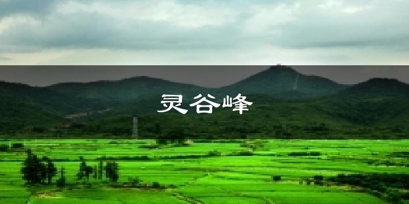 灵谷峰气温