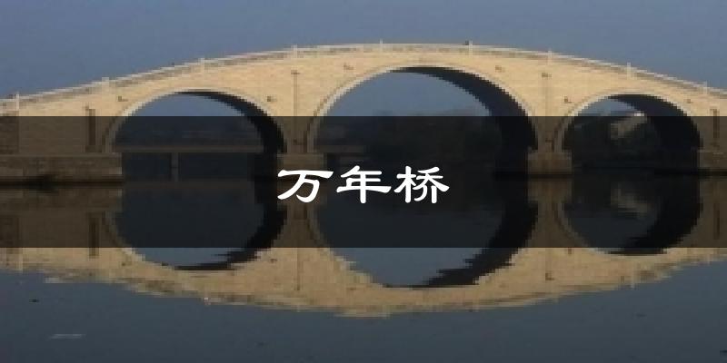 万年桥今日天气