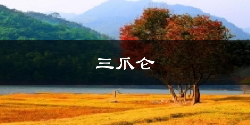 三爪仑今日天气