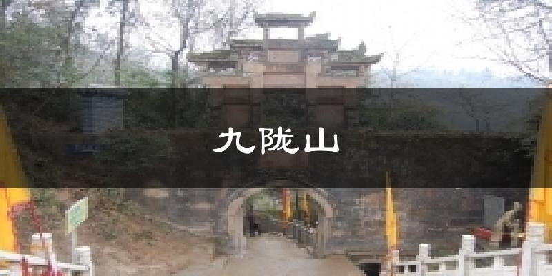 九陇山今日天气