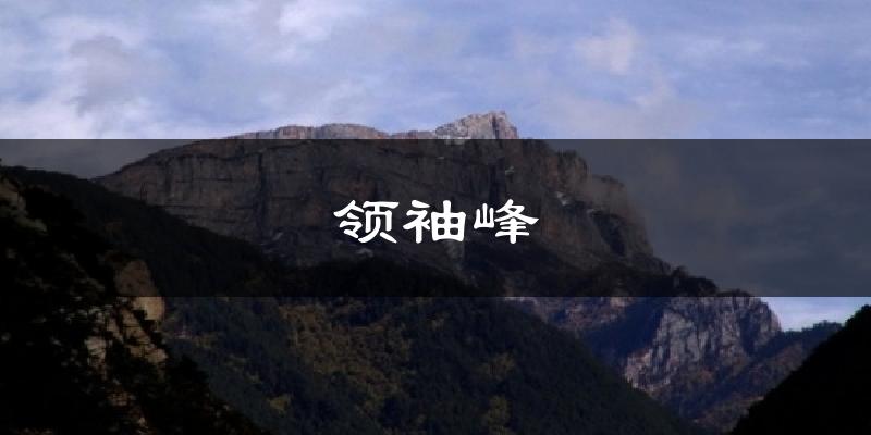 领袖峰今日天气