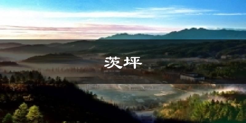 茨坪今日天气